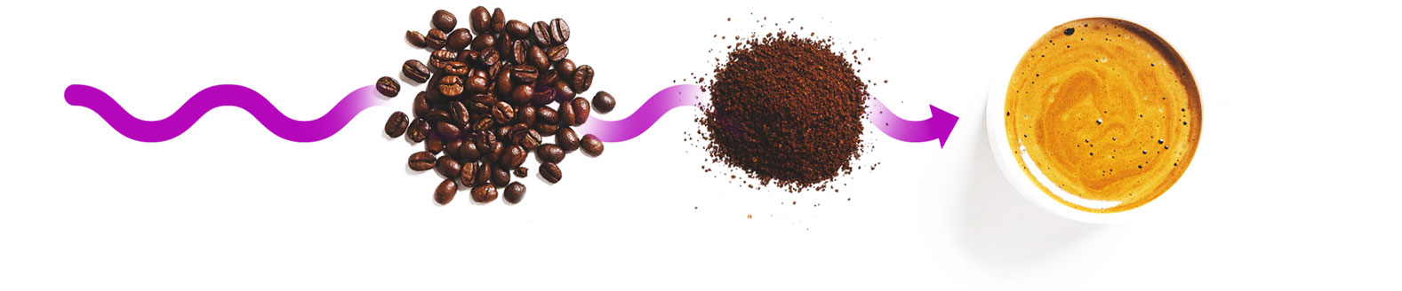 Od ziarna do kubka kawy