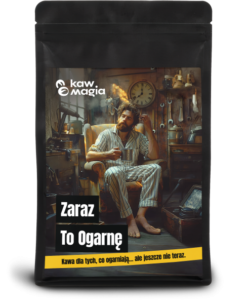 Zaraz to ogarnę 500 g